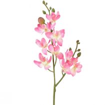 Produkt Mały storczyk Phalaenopsis sztuczny kwiat różowy 30cm