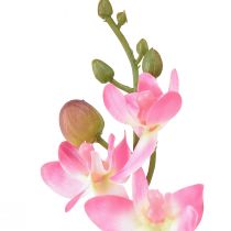 Produkt Mały storczyk Phalaenopsis sztuczny kwiat różowy 30cm