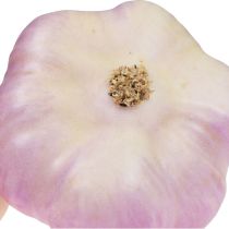 Produkt Sztuczna dekoracja warzywna czosnek różowy, biały Ø6,5cm 2 szt
