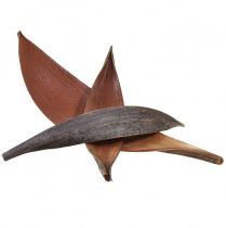 Produkt Skorupki kokosowe liście kokosa naturalne suszone 22cm - 42cm 25 szt