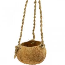 Produkt Wisząca miska kokosowa, naturalna miska roślinna, kosz wiszący Ø8cm L55cm