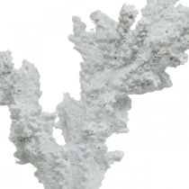 Dekoracja morska koralowa biała sztuczna dekoracja stojak 11×12cm
