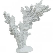 Dekoracja morska koralowa biała sztuczna dekoracja stojak 11×12cm