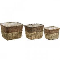 Produkt Kosz na rośliny, naturalny pojemnik do sadzenia, kwadratowa miska na kwiaty naturalne dł.29,5/26/23cm wys.21/19/16cm zestaw 3 szt.