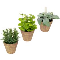 Produkt Sztuczna doniczka z ozdobnymi ziołami do kuchni, ogrodu, balkonu lub tarasu, 15m³, 3 sztuki