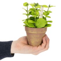 Produkt Sztuczna doniczka z ozdobnymi ziołami do kuchni, ogrodu, balkonu lub tarasu, 15m³, 3 sztuki