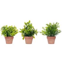 Produkt Sztuczna roślina w doniczce o realistycznej fakturze do użytku wewnątrz i na zewnątrz, 18 cm, 3 sztuki