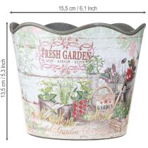 Produkt Doniczka na zioła plastikowa Fresh Garden H13.5cm 2szt