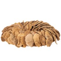 Produkt Wianek z grzybów drzewnych, kolor naturalny, do dekoracji drzwi lub ściany, 37 cm