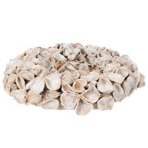 Produkt Wieniec z kwiatem lotosu, naturalna dekoracja, suszone kwiaty, 35 cm
