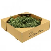 Produkt Wieniec świąteczny, zielony wianek z suszonych kwiatów, wianek na drzwi, len, zioła, świąteczny, Ø34cm