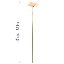 Produkt Sztuczne kwiaty gerbery morelowe 47cm 6szt