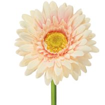 Produkt Kwiaty sztuczne Gerbera Morela 47cm