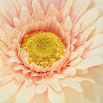 Produkt Kwiaty sztuczne Gerbera Morela 47cm