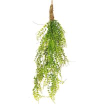 Produkt Sztuczna roślina grochowa juta do zawieszenia zielona wys. 80 cm