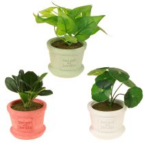 Produkt Sztuczne rośliny zielone mini rośliny w doniczce 15cm 3szt