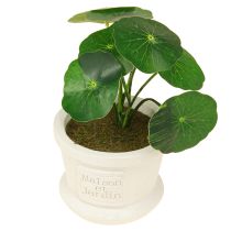 Produkt Sztuczne rośliny zielone mini rośliny w doniczce 15cm 3szt