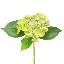 Produkt Sztuczne hortensje Zielone Kwiaty Liście L43cm 2szt