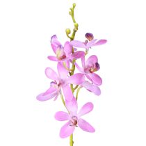 Produkt Sztuczne storczyki 8 fioletowych kwiatów Ø3,5cm–5cm 2szt
