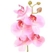 Produkt Sztuczne Orchidee Różowe Sztuczne Kwiaty Jak Prawdziwe 56cm 3 Szt