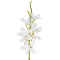 Produkt Sztuczne Orchidee Biały Kwiat Ø3.5–5cm Dł.38cm 2szt