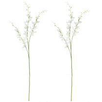 Produkt Sztuczna gałązka orchidei kremowo-białe kwiaty dł. 90 cm 2 szt.