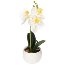 Produkt Sztuczne storczyki w doniczce białe mini storczyki Ø7cm H22cm