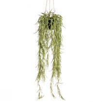 Produkt Sztuczna sukulent wisząca w czarnej doniczce 60 cm - Trwała dekoracja wnętrza