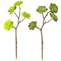 Produkt Sztuczne sukulenty z łodygą zielono-fioletowe różne 32cm 2szt