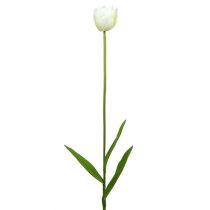 Tulipany sztuczne biało-zielone 86cm 3szt.