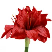 Produkt Sztuczne amarylisowe kwiaty świąteczne Czerwone sztuczne kwiaty L40cm