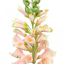 Sztuczny kwiat ogrodowy wieloletni łosoś sztuczny kwiat łodyga kwiat H90cm