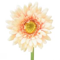 Produkt Kwiaty sztuczne Gerbera Morela 47cm