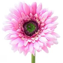 Produkt Kwiaty sztuczne Gerbera różowe 47cm