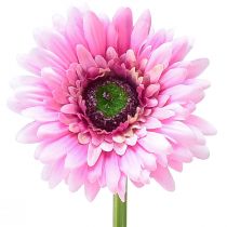 Produkt Sztuczne Kwiaty Gerbera Ogrodowa Sztuczne Kwiaty Różowe 47cm