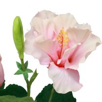 Produkt Sztuczne Kwiaty Hibiskusa Różowe 62cm