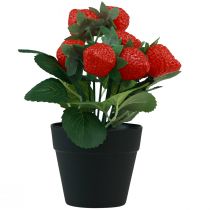 Produkt Sztuczna truskawka w doniczce sztuczna roślina 19cm