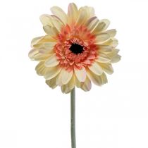 Produkt Sztuczny kwiat gerbery sztuczny kwiat moreli Ø11cm dł.50cm