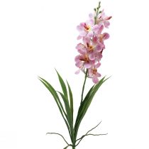 Sztuczna orchidea Różowa biała sztuczna orchidea kwiatowa 73cm