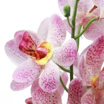 Produkt Sztuczna orchidea Różowa biała sztuczna orchidea kwiatowa 73cm