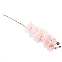Produkt Sztuczna orchidea różowa Phalaenopsis Real Touch 58cm