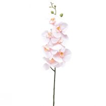 Sztuczna orchidea różowa Phalaenopsis Real Touch 83cm