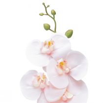 Produkt Sztuczna orchidea różowa Phalaenopsis Real Touch 83cm