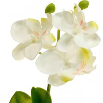 Sztuczne storczyki Sztuczny kwiat orchidei biały 20cm
