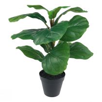 Produkt Sztuczna roślina doniczkowa Ficus Sztuczna roślina w doniczce 42cm