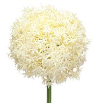 Produkt Sztuczna cebula ozdobna kremowa biała cebula ozdobna Ø18cm dł. 90cm
