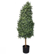 Produkt Sztuczny bukszpan w doniczce Pudełko na sztuczną roślinę W120cm