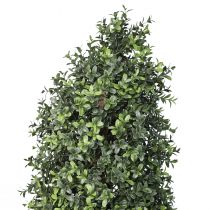 Produkt Sztuczny bukszpan w doniczce Pudełko na sztuczną roślinę W120cm