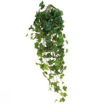 Produkt Ozdoba ze sztucznych liści bluszczu do zawieszenia w kolorze zielonym L85cm