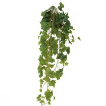 Produkt Ozdoba ze sztucznych liści bluszczu do zawieszenia w kolorze zielonym L85cm